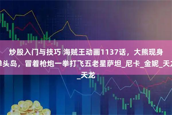 炒股入门与技巧 海贼王动画1137话，大熊现身弹头岛，冒着枪炮一拳打飞五老星萨坦_尼卡_金妮_天龙