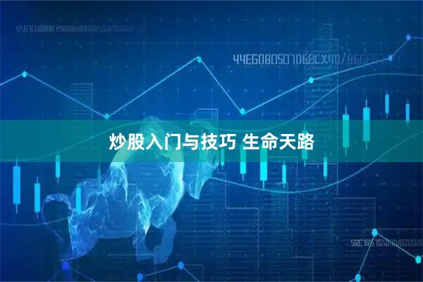 炒股入门与技巧 生命天路